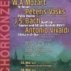 2013_Flyer-Internet-A.jpg