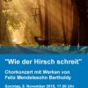 Konzert_08112015.jpg